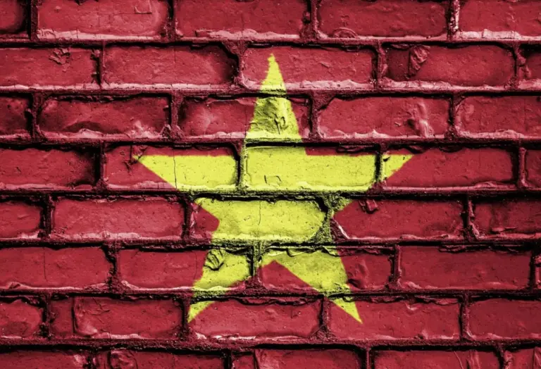 Vietnam’s High-Stakes Piracy Defense: Inside the USTR Section 301 Battle Over HiAnime and Fmovies
